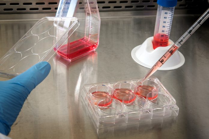 IMAGE_A promising drug “soldier” in the battle against COVID-19
